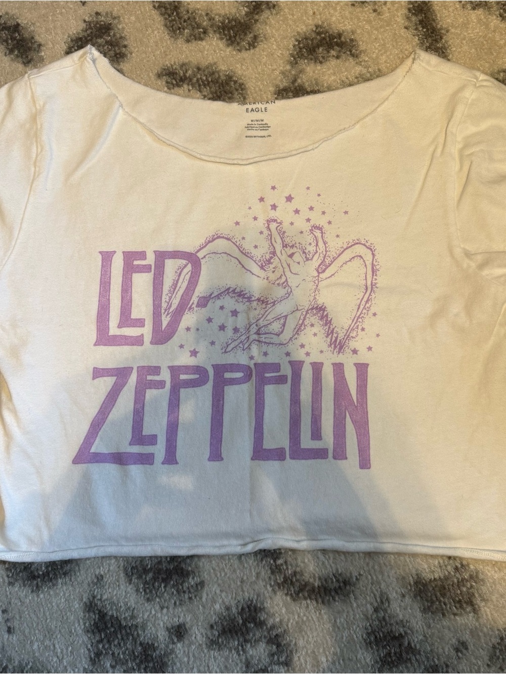 American Eagle Outfitters Kids White Tee with Purple Led Zeppelin Graphic